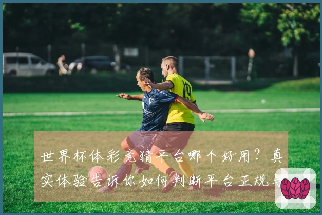 世界杯体彩竞猜平台哪个好用?真实体验告诉你如何判断平台正规与否