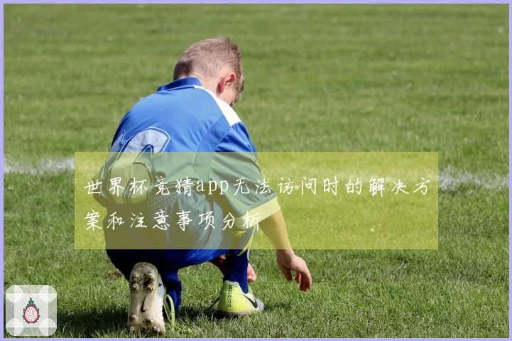 世界杯竞猜app无法访问时的解决方案和注意事项分析