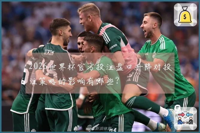 2026世界杯官方投注盘口升降对投注策略的影响有哪些?