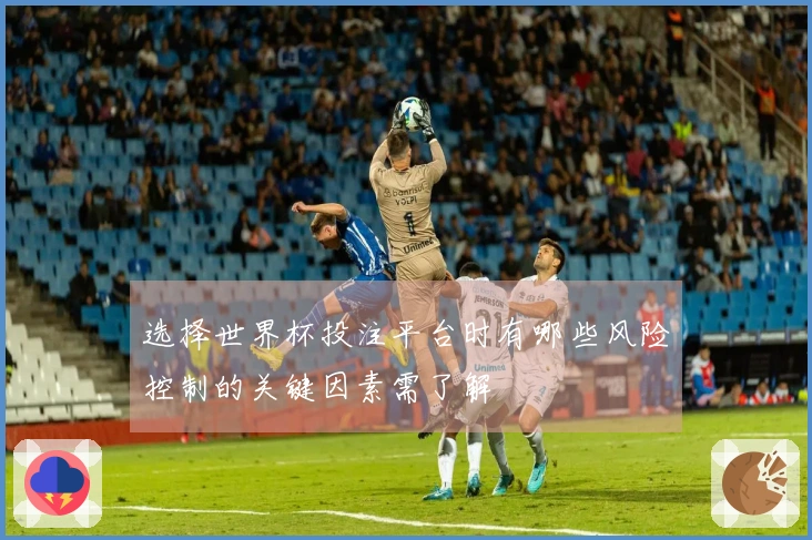 选择世界杯投注平台时有哪些风险控制的关键因素需了解