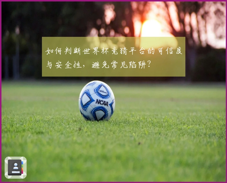 如何判断世界杯竞猜平台的可信度与安全性,避免常见陷阱?