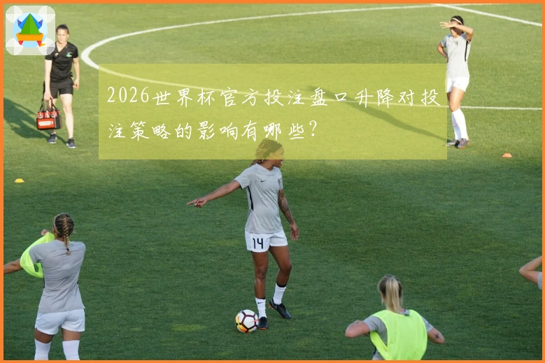 2026世界杯官方投注盘口升降对投注策略的影响有哪些？